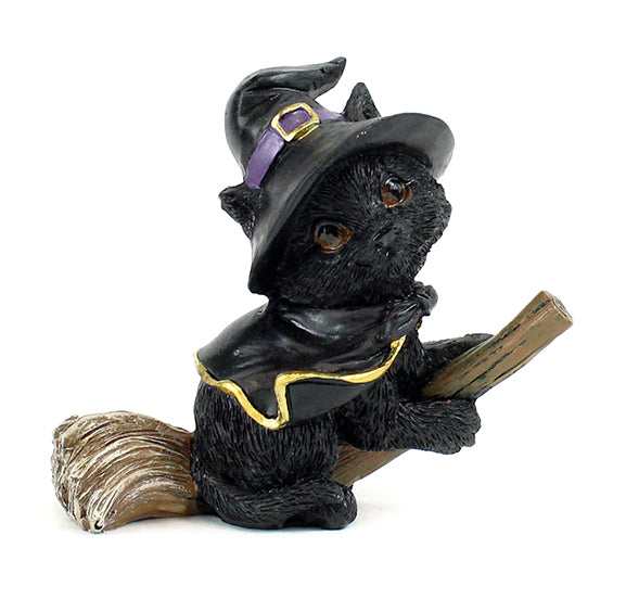 Witch Cat on Broom