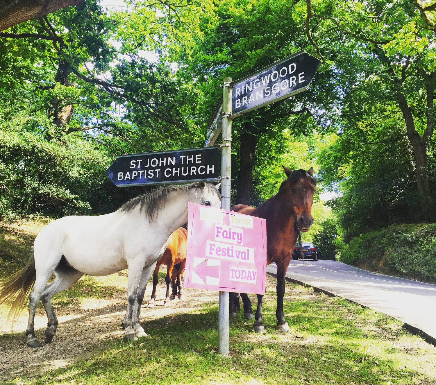A Special Post from The New Forest Fairy Festival