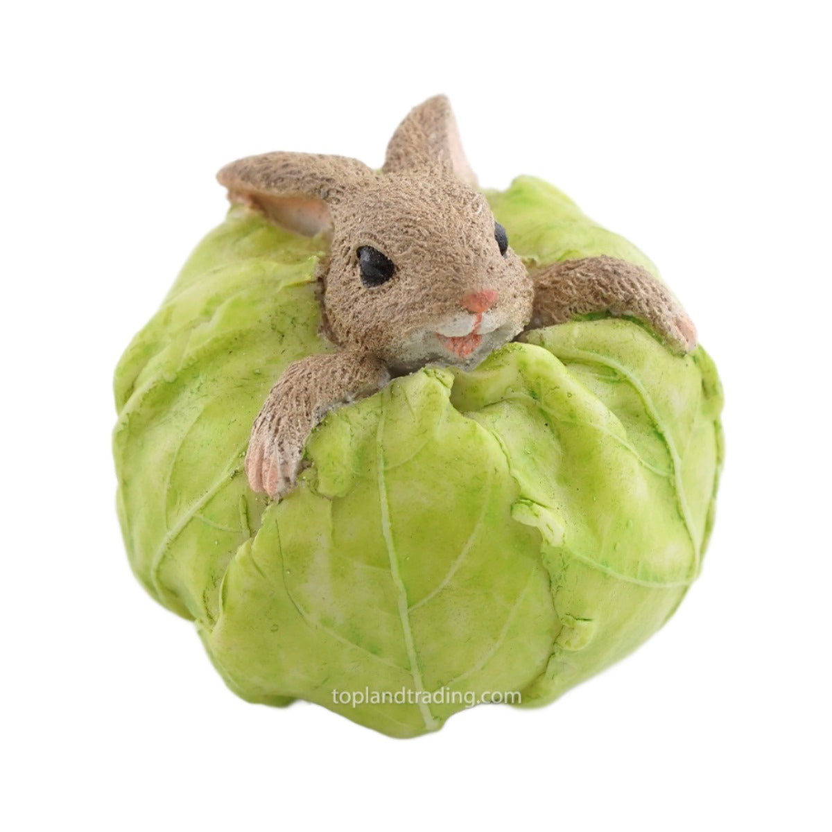 Rabbit in Cabbage