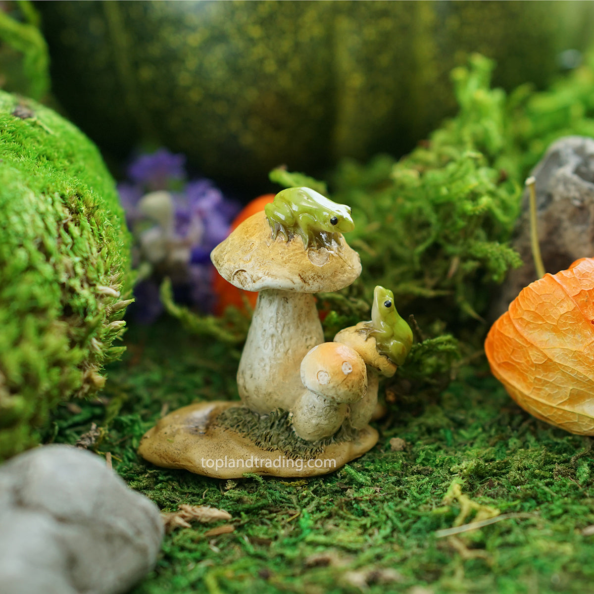 Frogs on Mushrooms