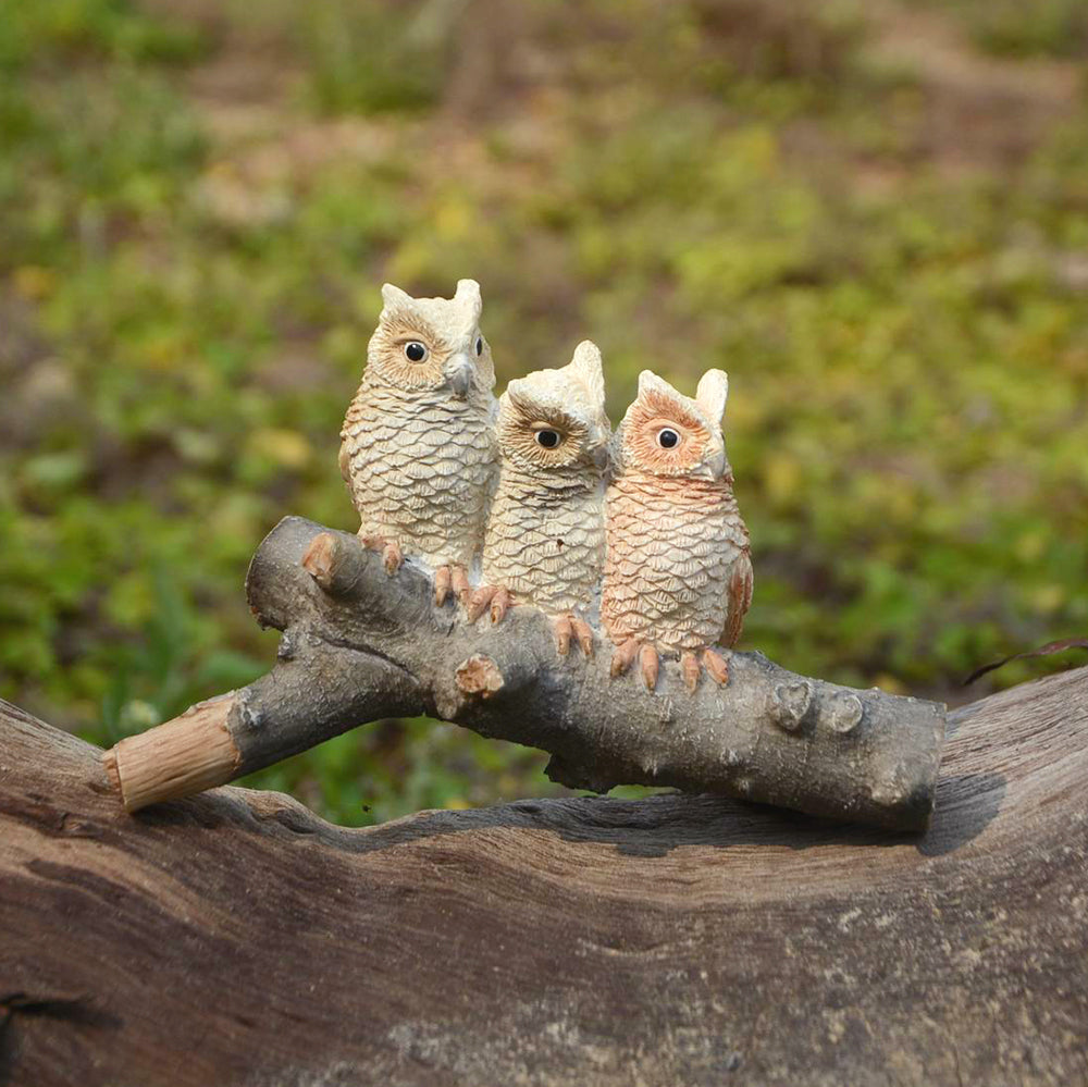 Owls on Branch