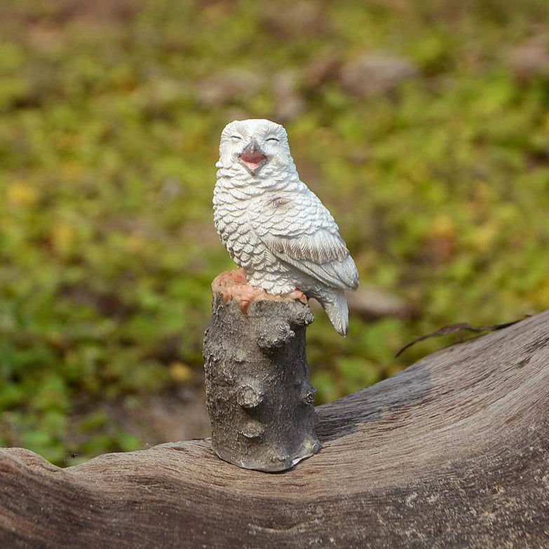 Laughing Owl on Stump