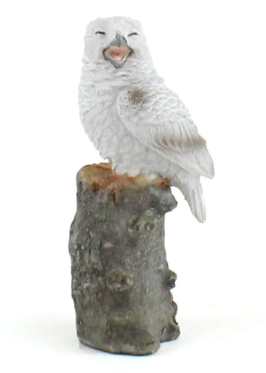 Laughing Owl on Stump
