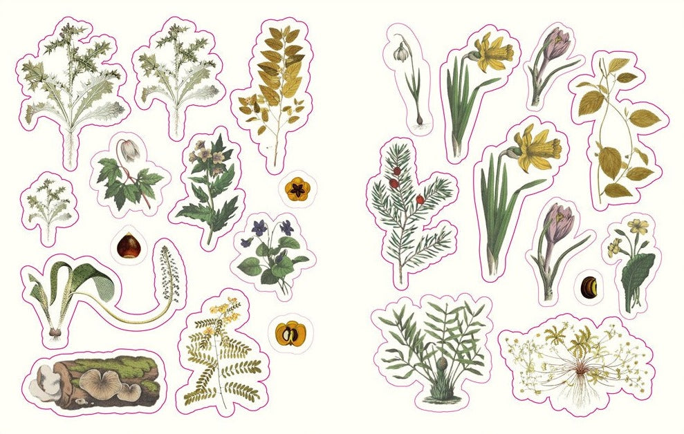 The Forests, Fairies and Fungi Sticker Anthology