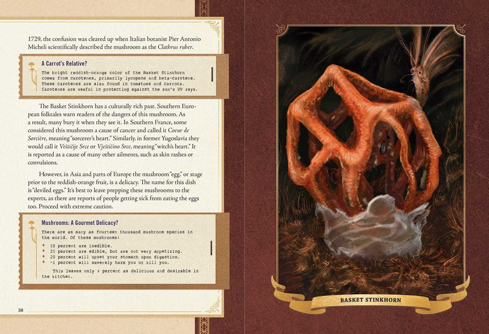 The Little Book of Mushroom