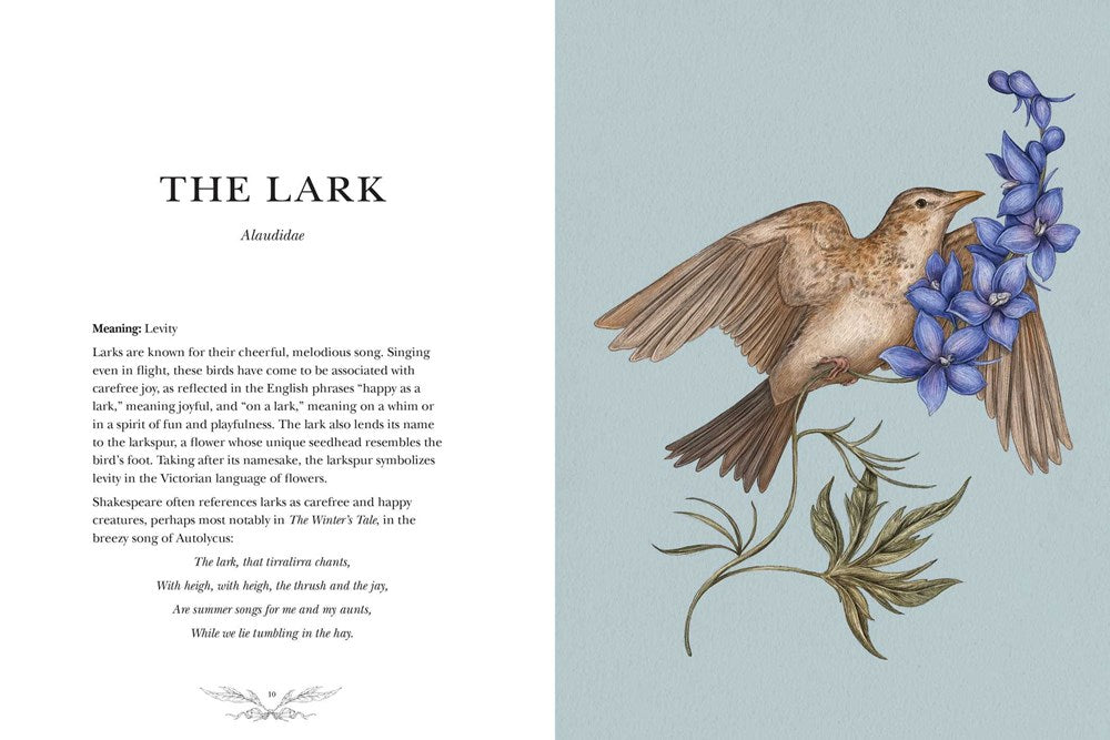 Ornithography