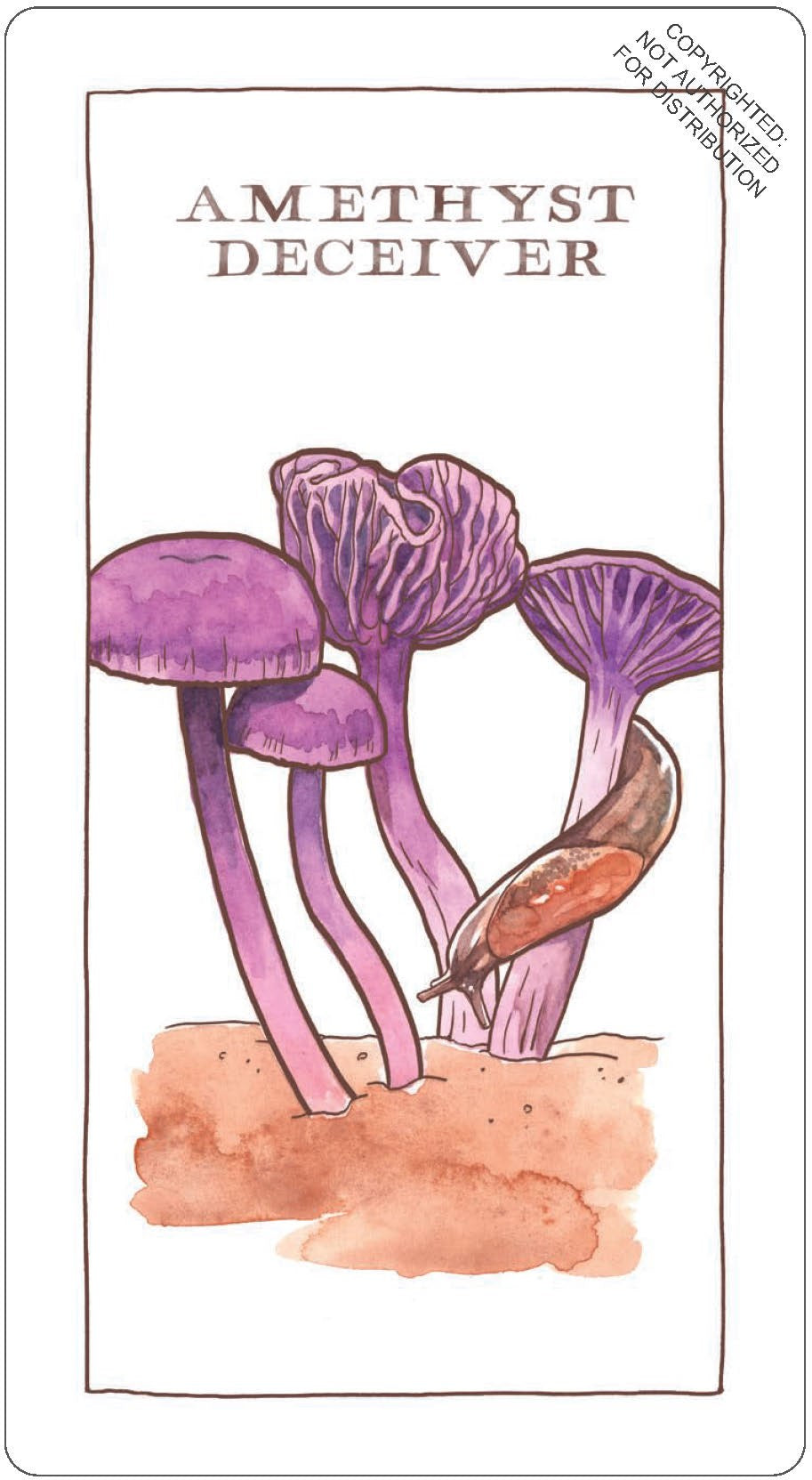 Mushroom Spotter's Deck