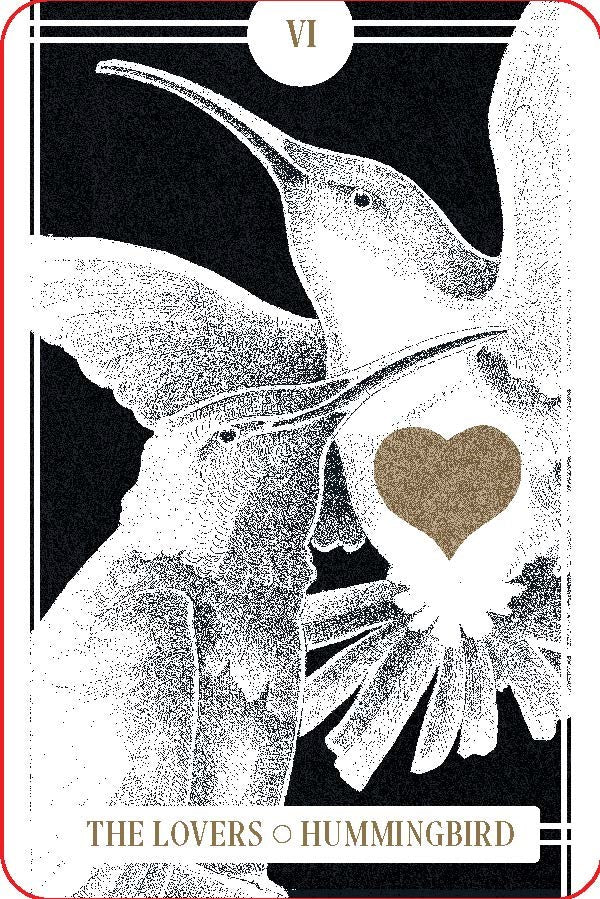The Avian Tarot