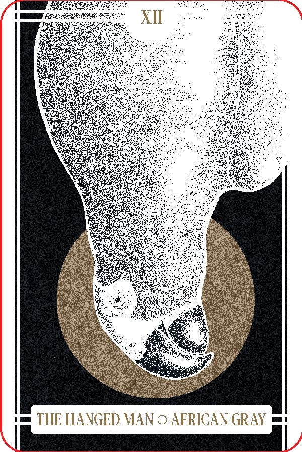 The Avian Tarot