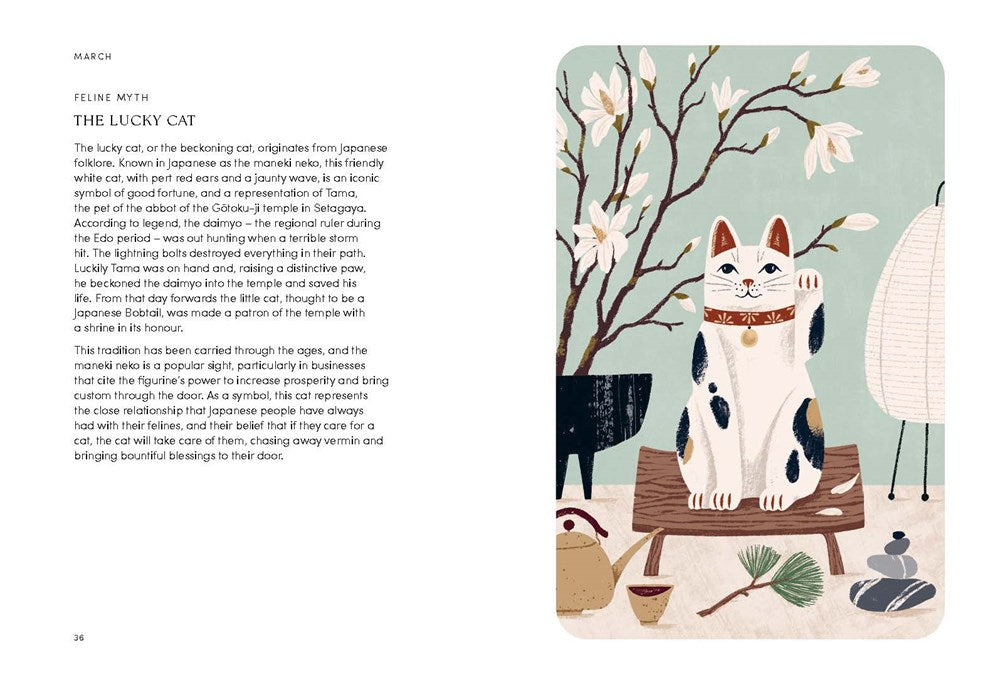 The Cat Year