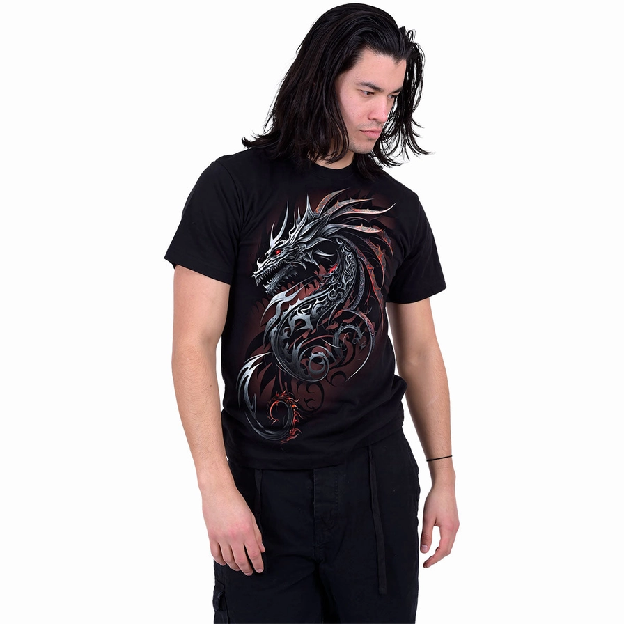 Dragon Shards T-Shirt