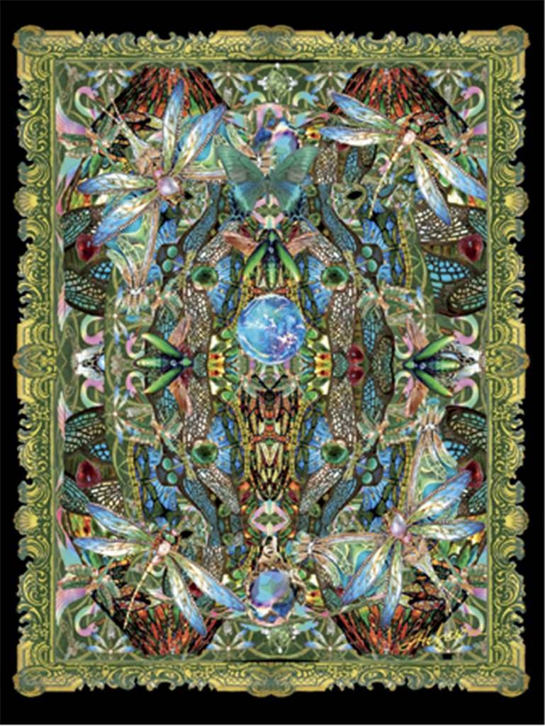 Dragonfly Kaleidoscope Card