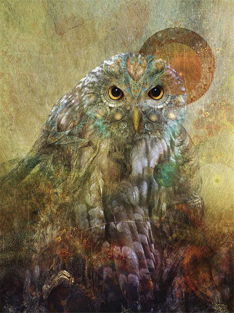 Journey Owl Card