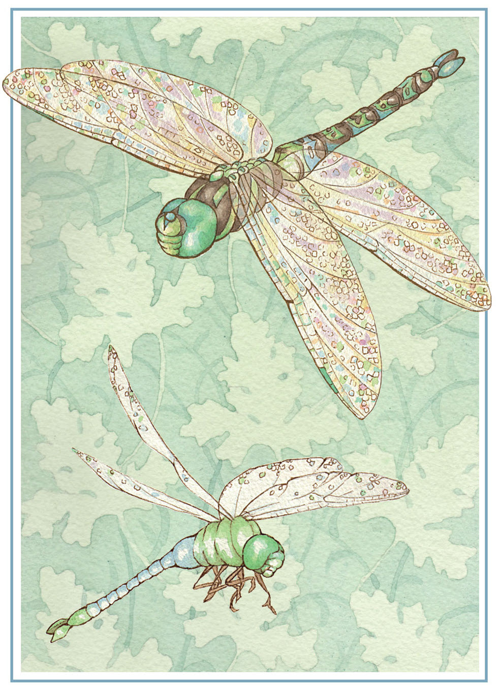 Dragonflies Card