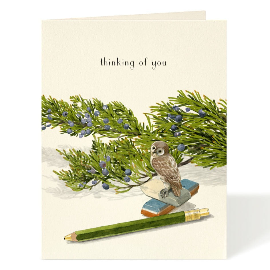 Little Owl Card