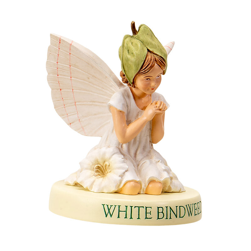 White Bindweed Fairy