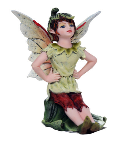 Boy Fairy on Leaf
