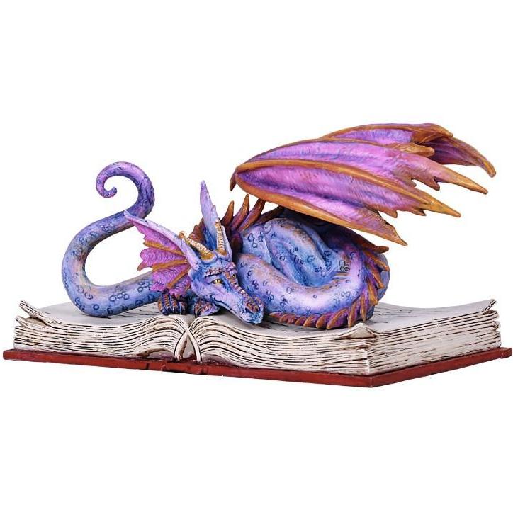 Book Wyrmll Dragon -- DragonSpace