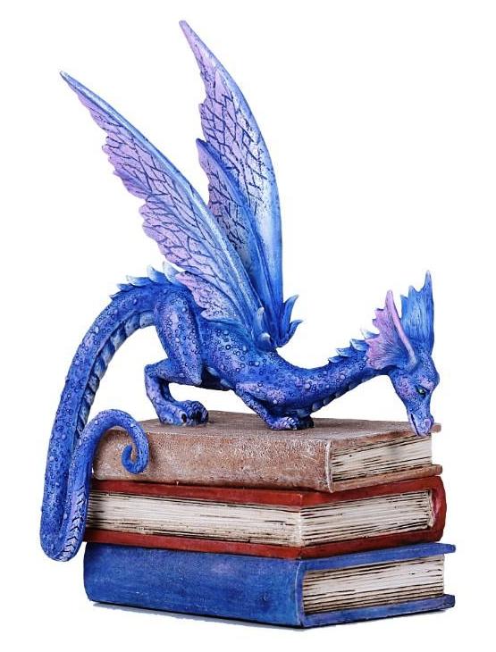 Book Dragon -- DragonSpace