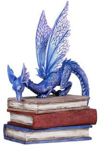 Book Dragon -- DragonSpace