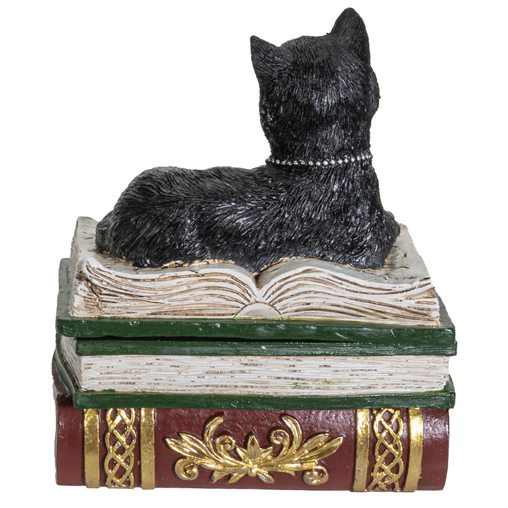 Black Cat on Books Box