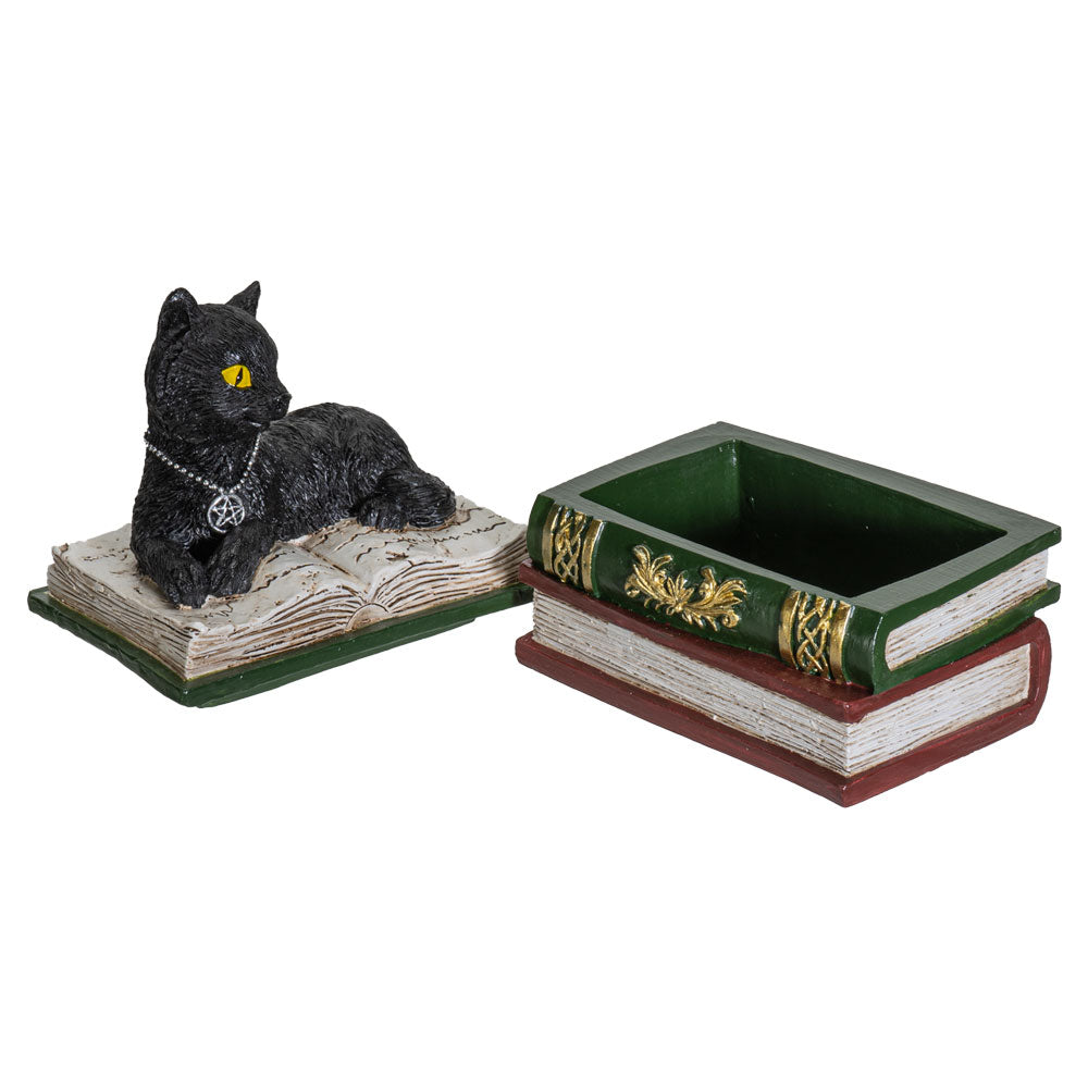 Black Cat on Books Box