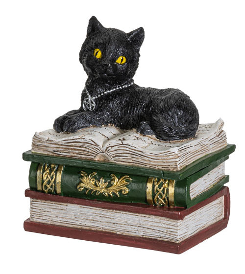 Black Cat on Books Box