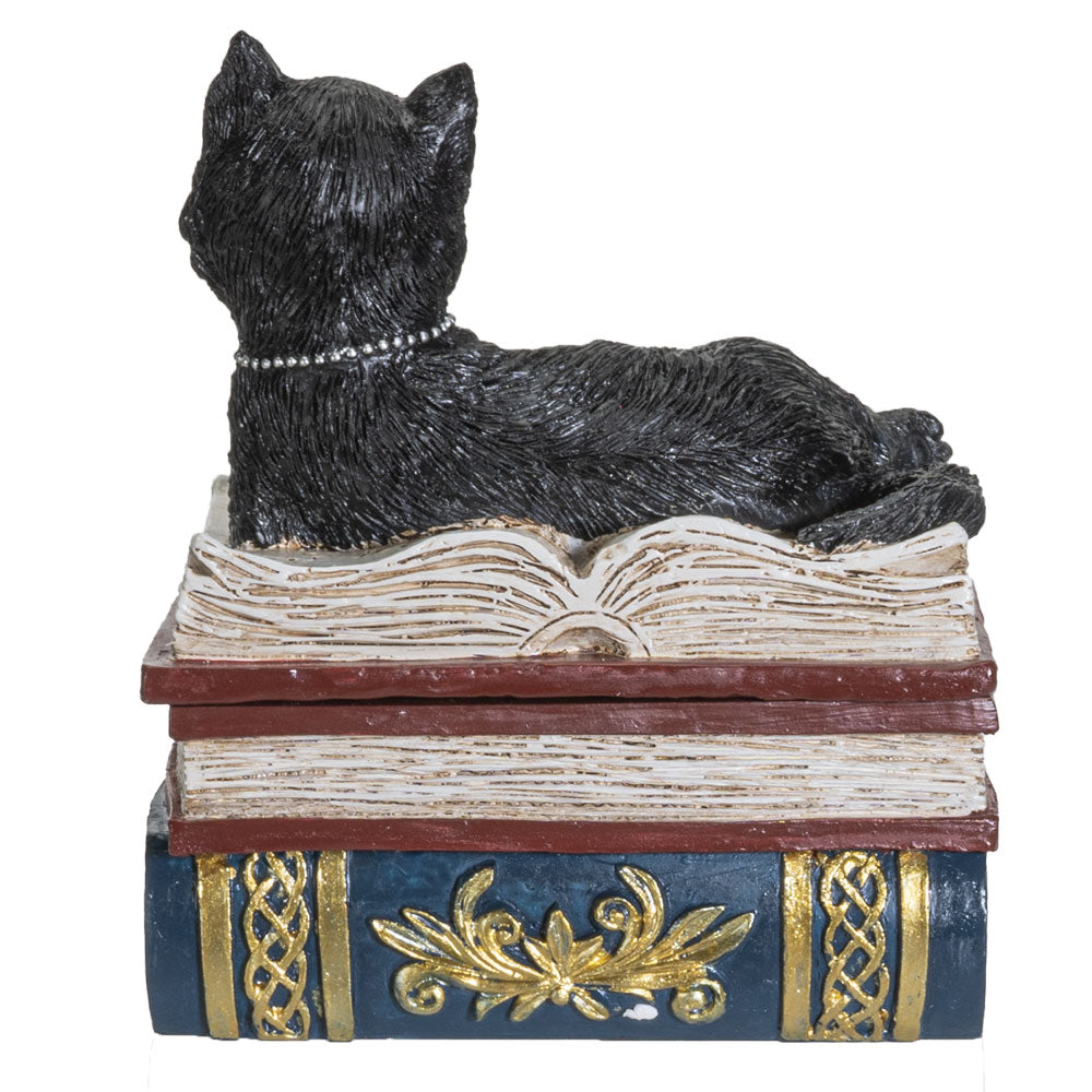 Black Cat on Books Box