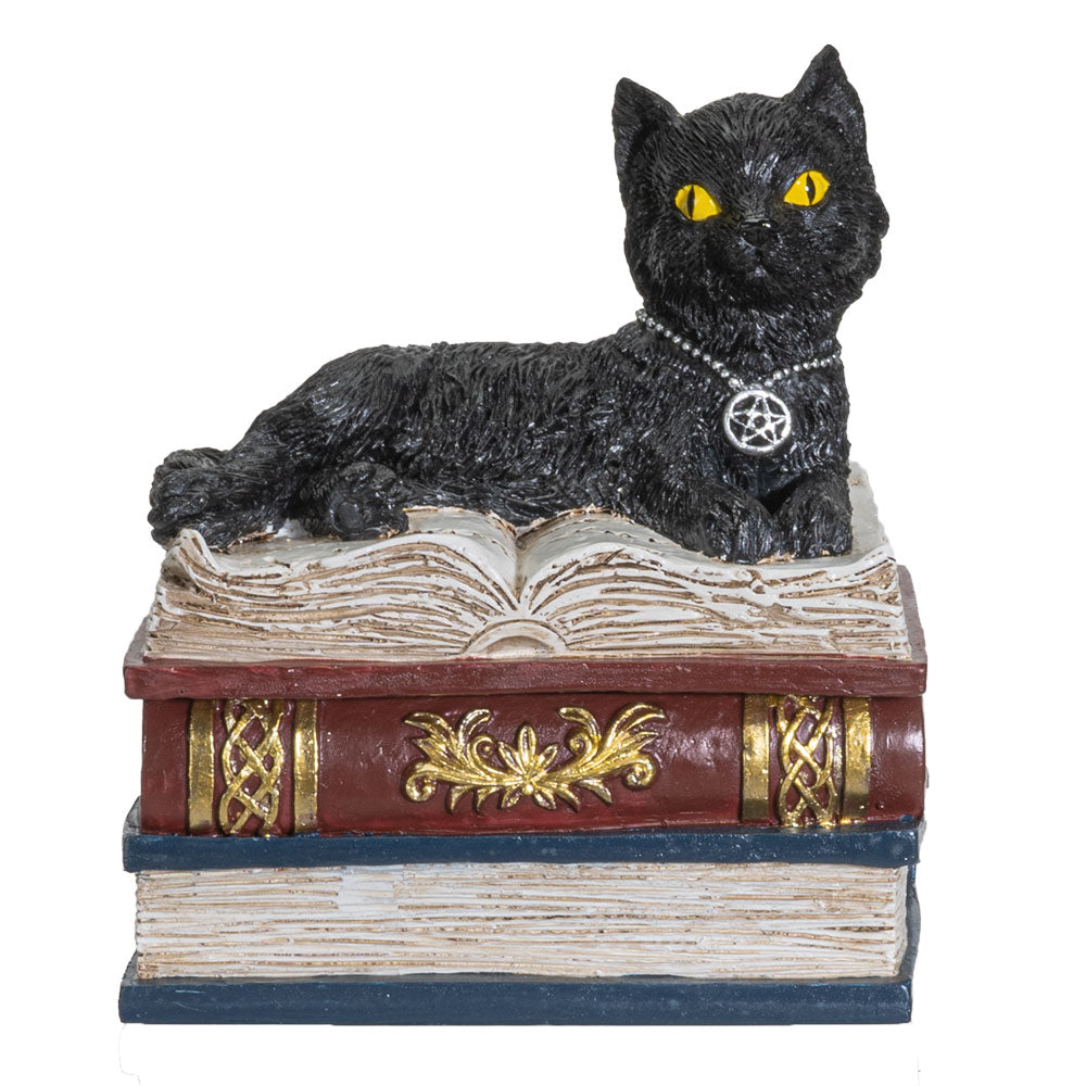 Black Cat on Books Box