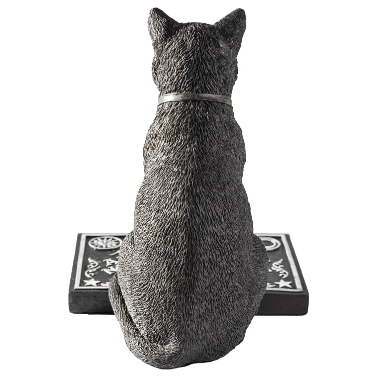 Ouija Board Cat