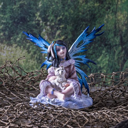 My Baby Pet Wolf Fairy