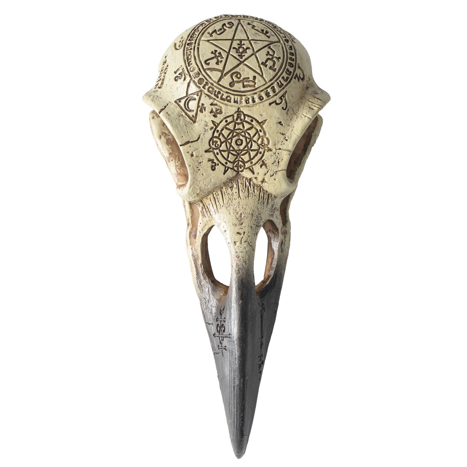 Omega Raven Skull