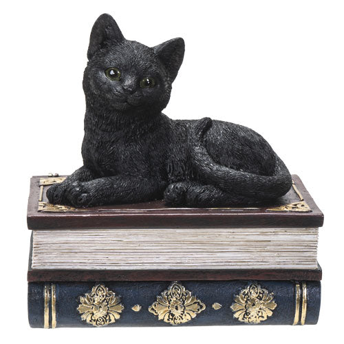 Black Cat on Book Box