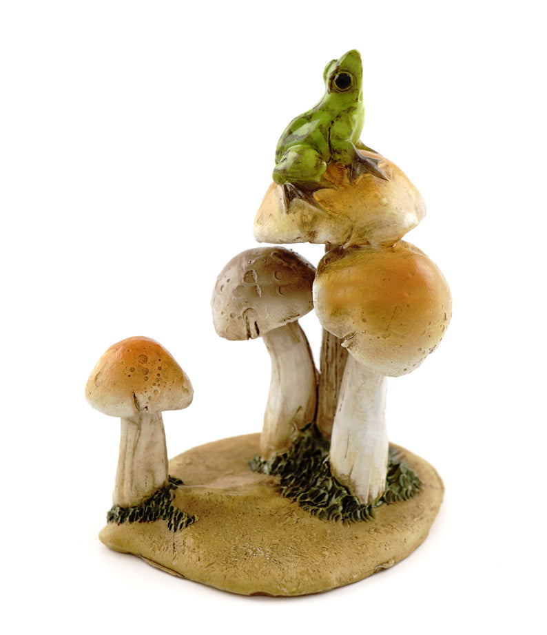 Frog on Mushrooms
