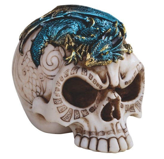 Dragon on Skull