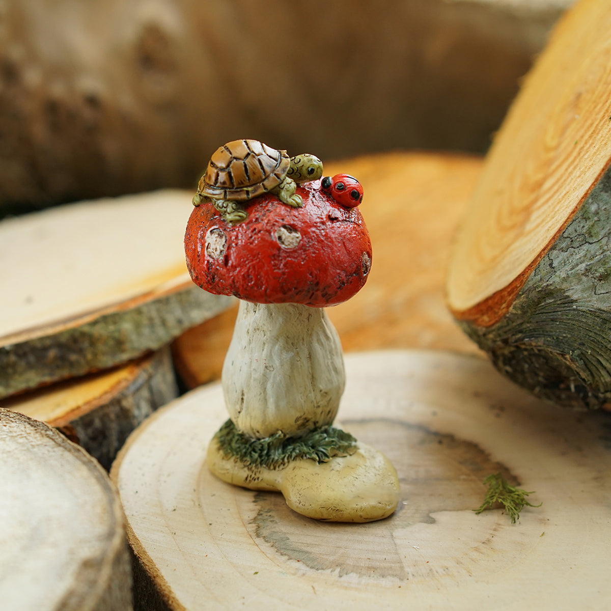 Little Turtle on Mushroom