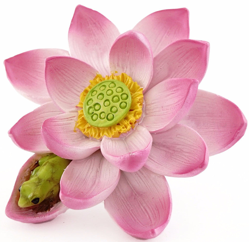 Lotus Flower & Frog