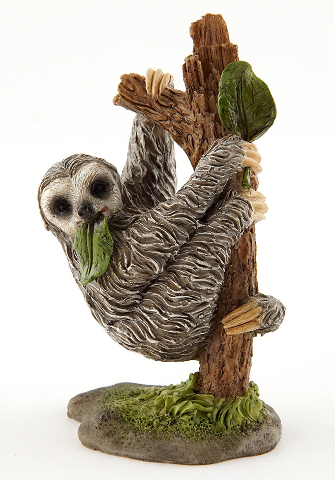 Sloth Hanging from Tree