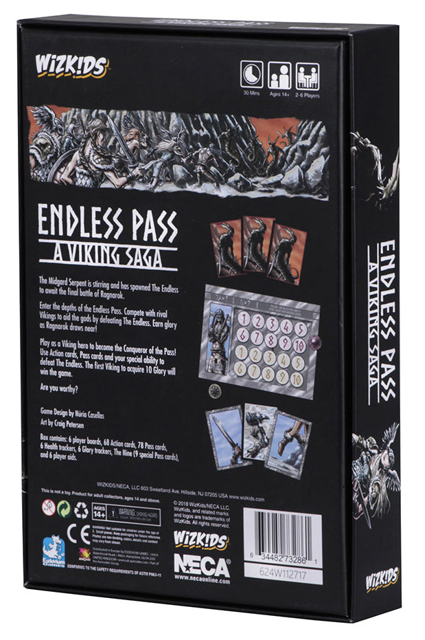 Endless Pass Game