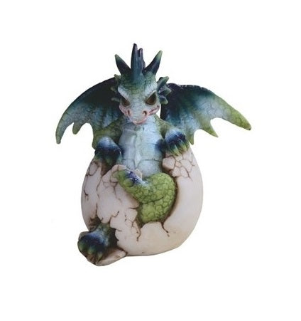 Baby Dragon Hatchling