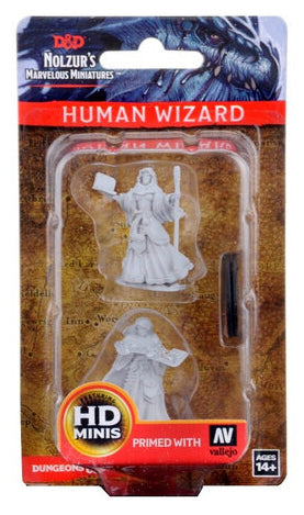 Human Wizard Female