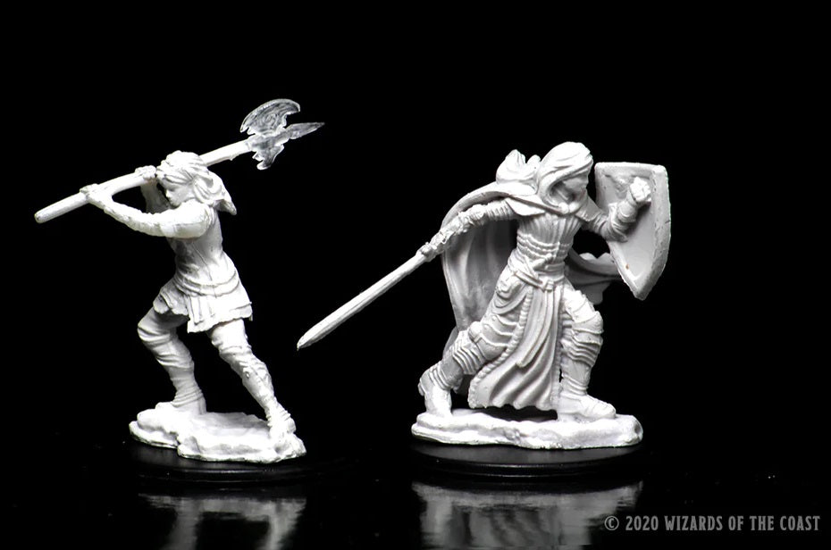 Human Paladin Female