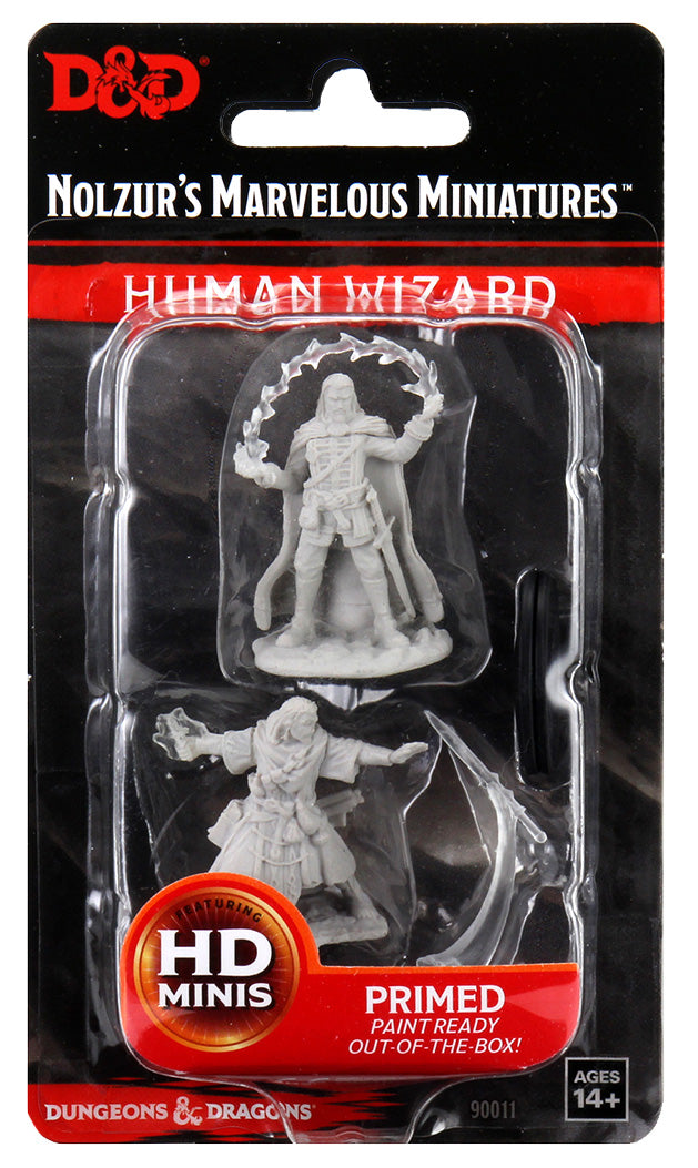 Human Wizard Male