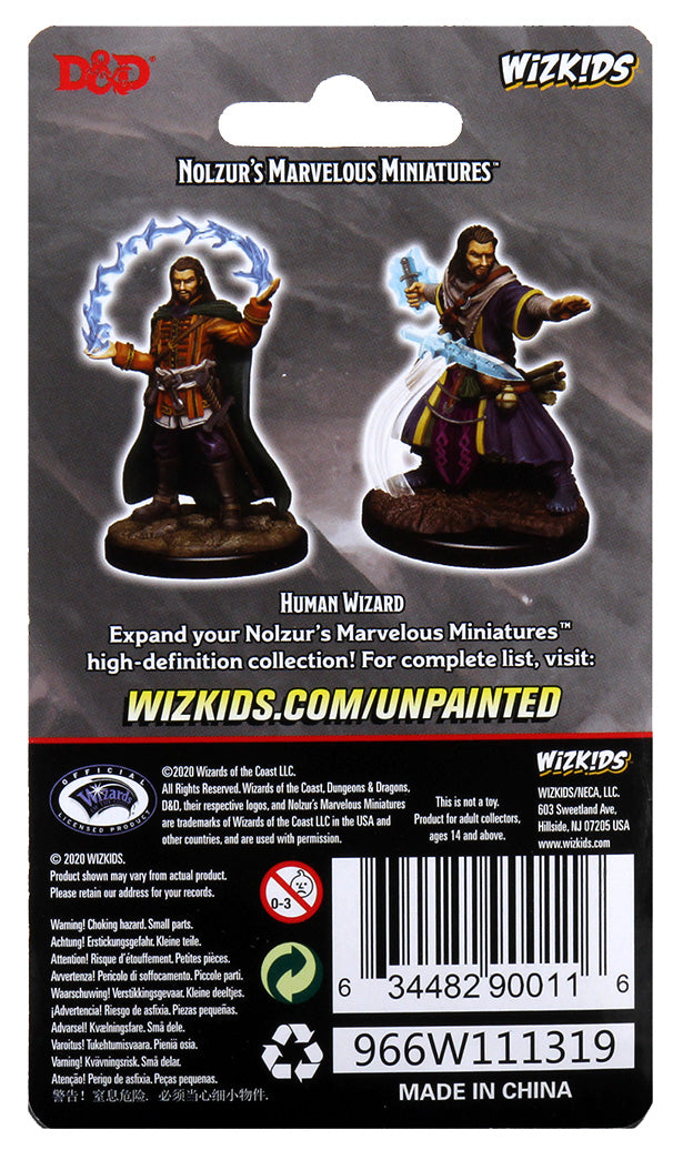 Human Wizard Male