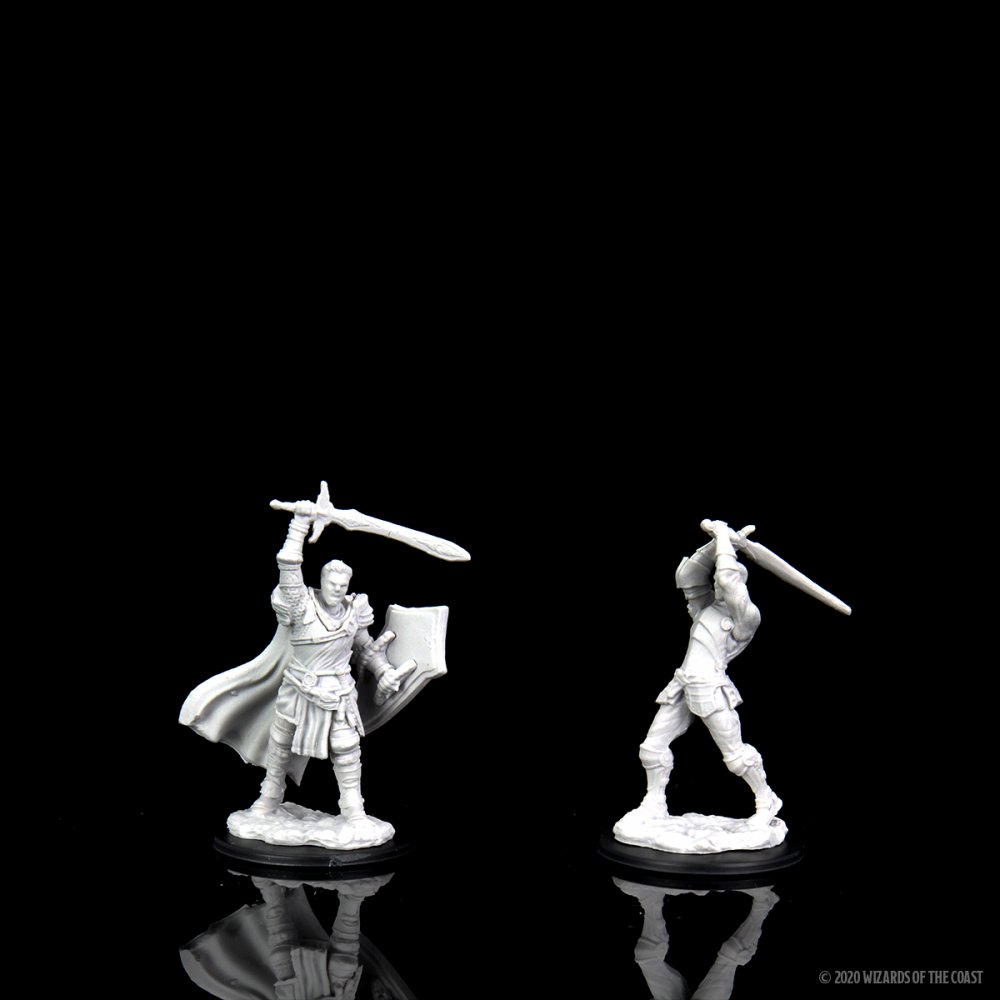 Human Paladin Male