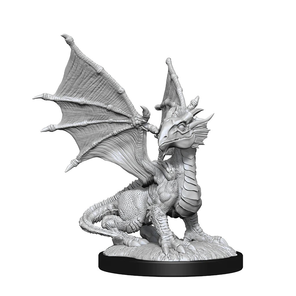 Silver Dragon Wyrmling & Halfling Dragon Friend