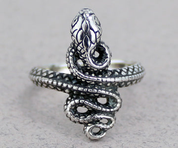 Snake Ring -- DragonSpace