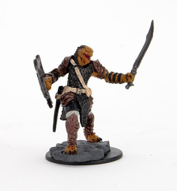 Dragonborn Paladin Female (Painted)