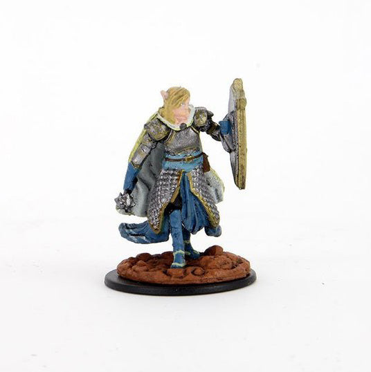 Elf Cleric Male (Painted)