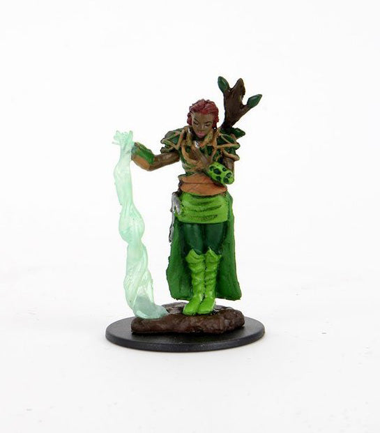 Human Druid Female (Painted)
